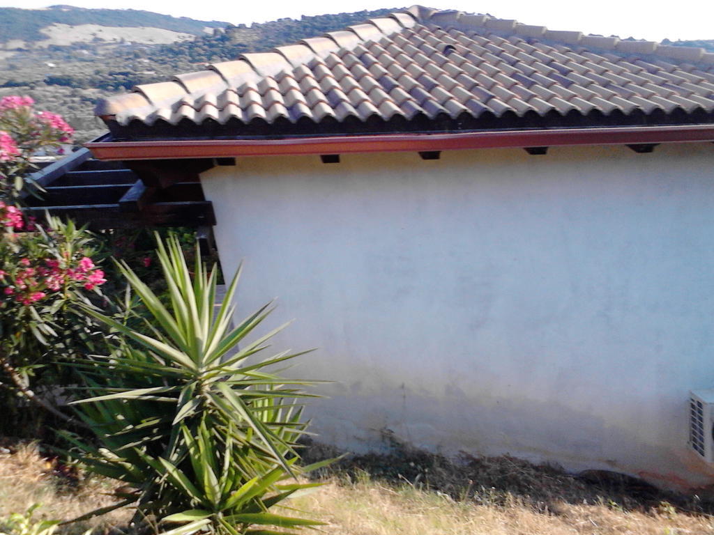 Affittacamere Valverde Di Naitana Rita Alguer Exterior foto
